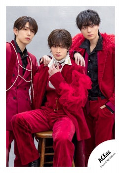 【No.ACE26-083】「ACEes Arena Tour 2026 “V”」Goods off-shot