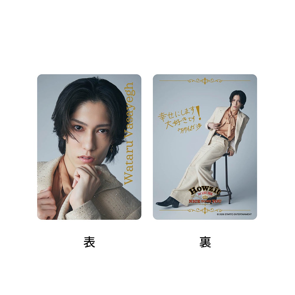 【Wataru VASAYEGH】Hair Clip & Card Set