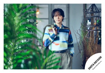 【No.HYS26-002】Shota Hayashi Original Goods Original photo