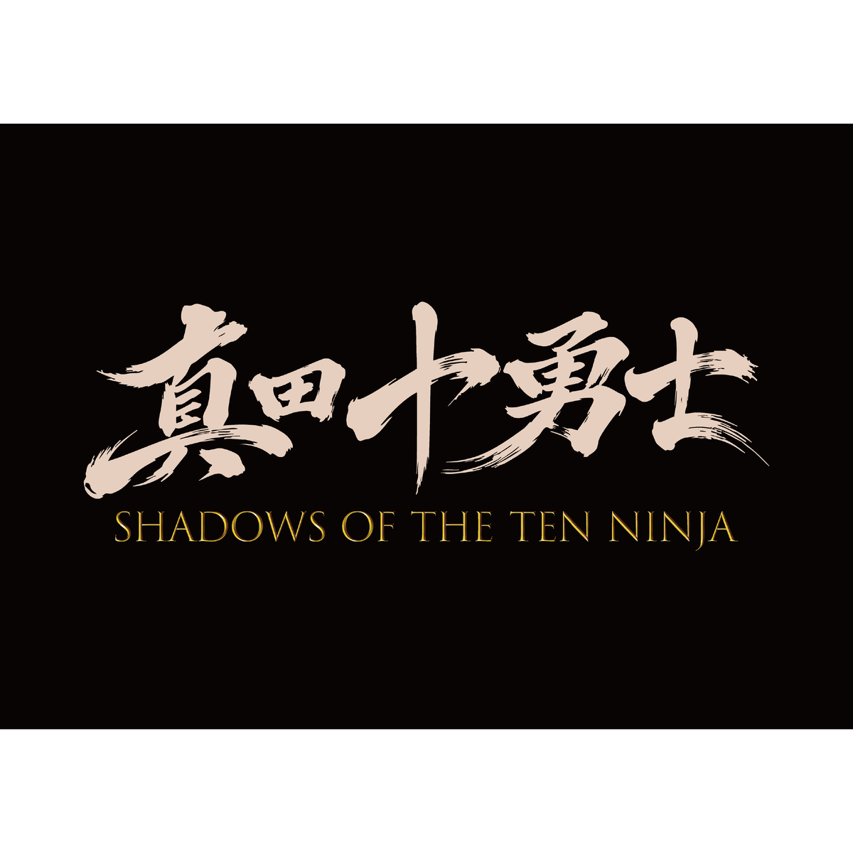 SHADOWS OF THE TEN NINJA