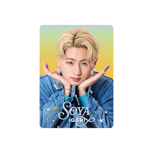 Profile Card & Profile Card Holder Soya IGARI Profile Card