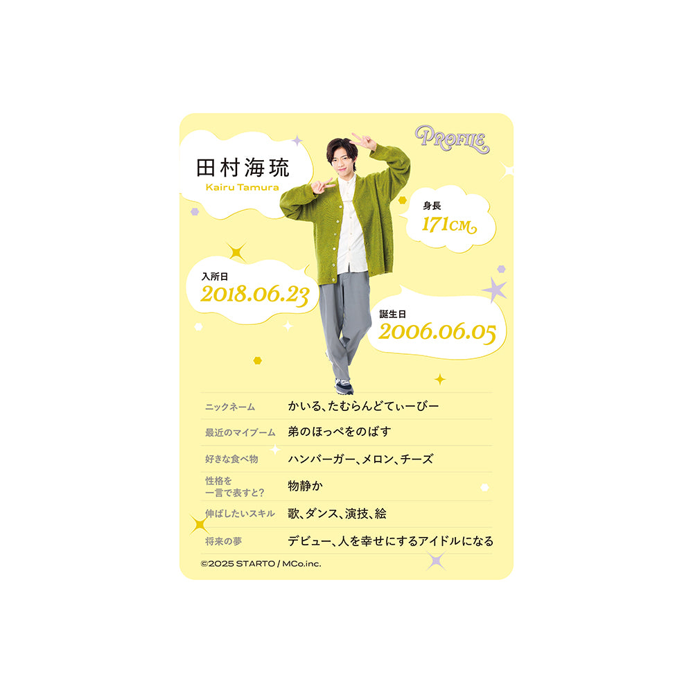 Profile Card & Profile Card Holder Kairu TAMURA Profile Card