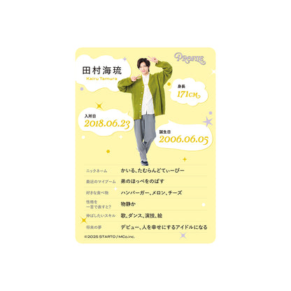 Profile Card & Profile Card Holder Kairu TAMURA Profile Card