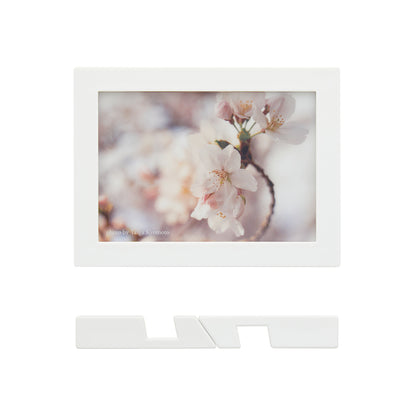 Photo Exhibition "Perspective and Starting Point" 【Spring】Acrylic Frame