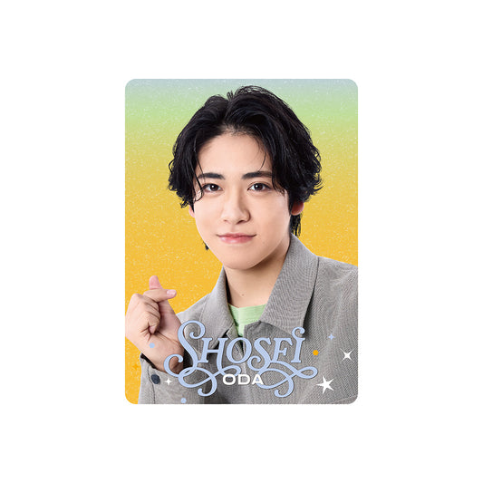 Profile Card & Profile Card Holder Shosei ODA Profile Card