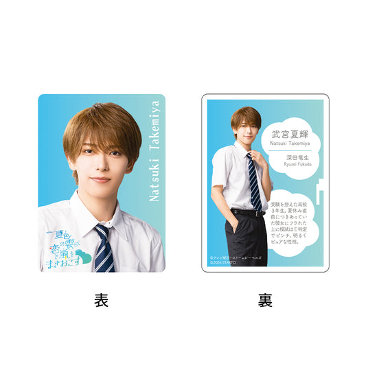 Ryusei FUKADA "Your Summer, My Storm" Natsuki TAKEMIYA Drama Collection Card