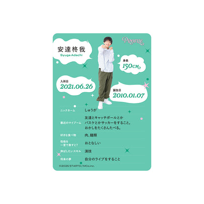 Profile Card & Profile Card Holder Syuga ADACHI Profile Card