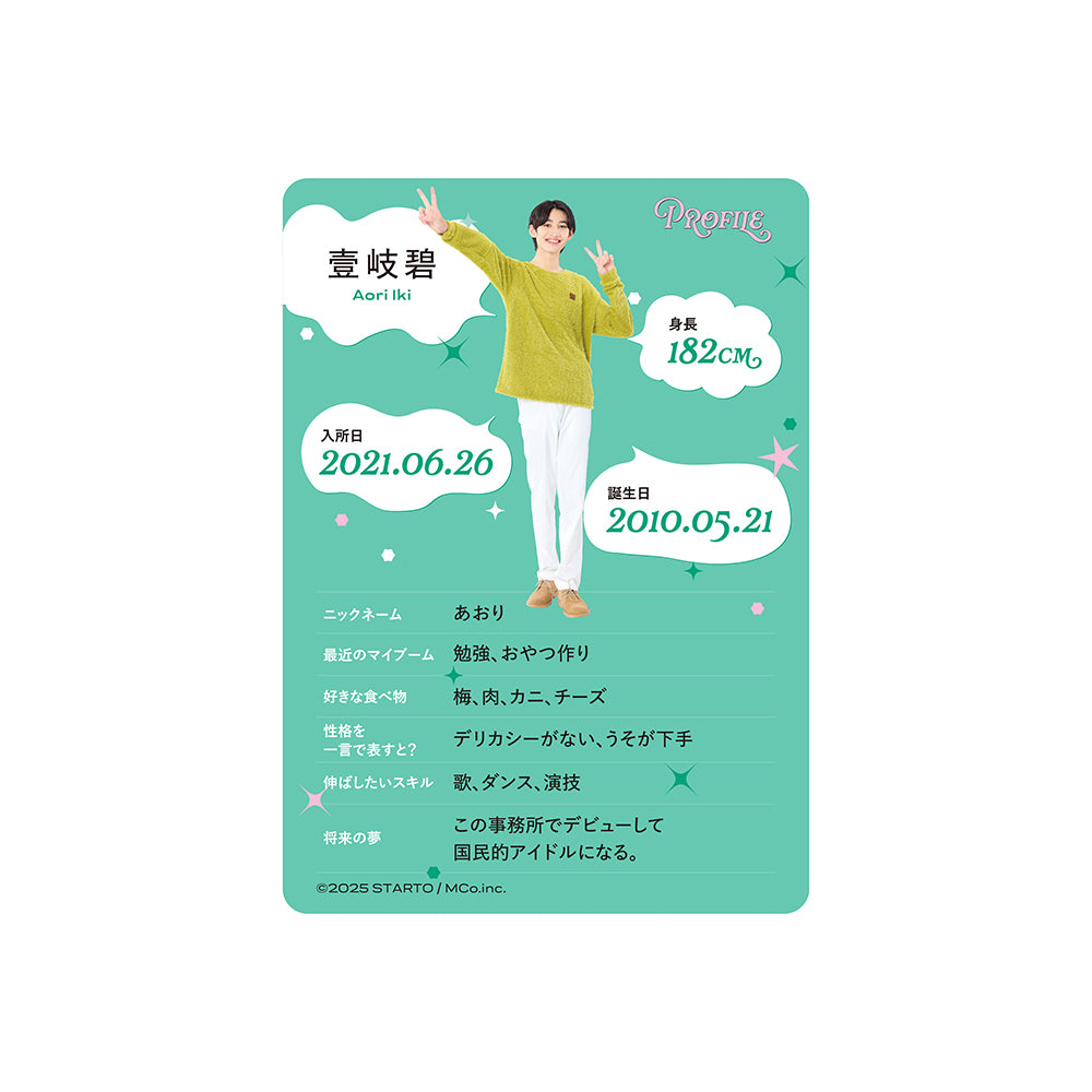 Profile Card & Profile Card Holder Aori IKI Profile Card