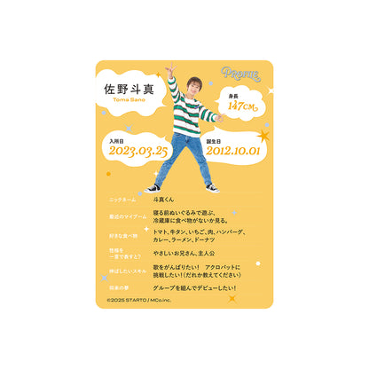 Profile Card & Profile Card Holder Toma SANO Profile Card