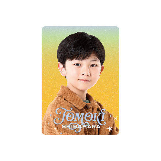 Profile Card & Profile Card Holder Tomoki SHIBAHARA Profile Card