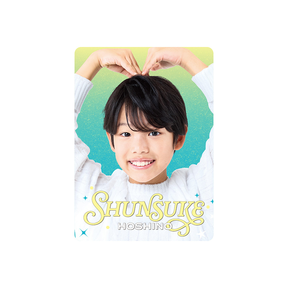 Profile Card & Profile Card Holder Shunsuke HOSHINO Profile Card