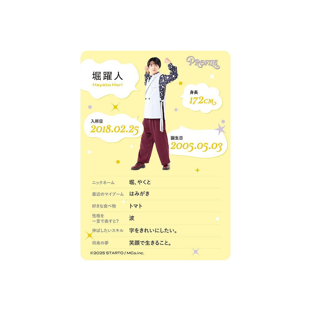 Profile Card & Profile Card Holder Hayato HORI Profile Card