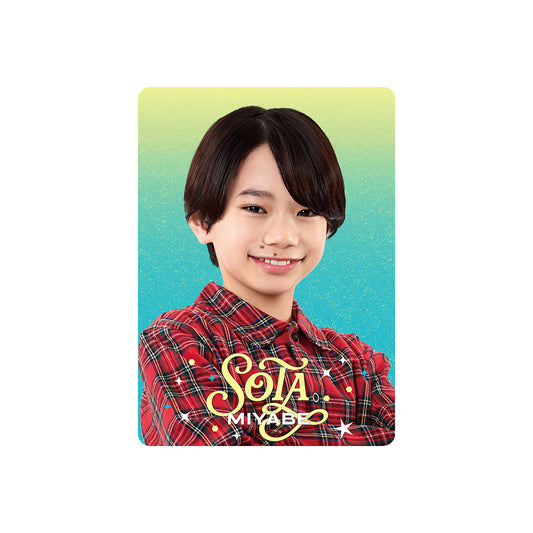 Profile Card & Profile Card Holder Sota MIYABE Profile Card