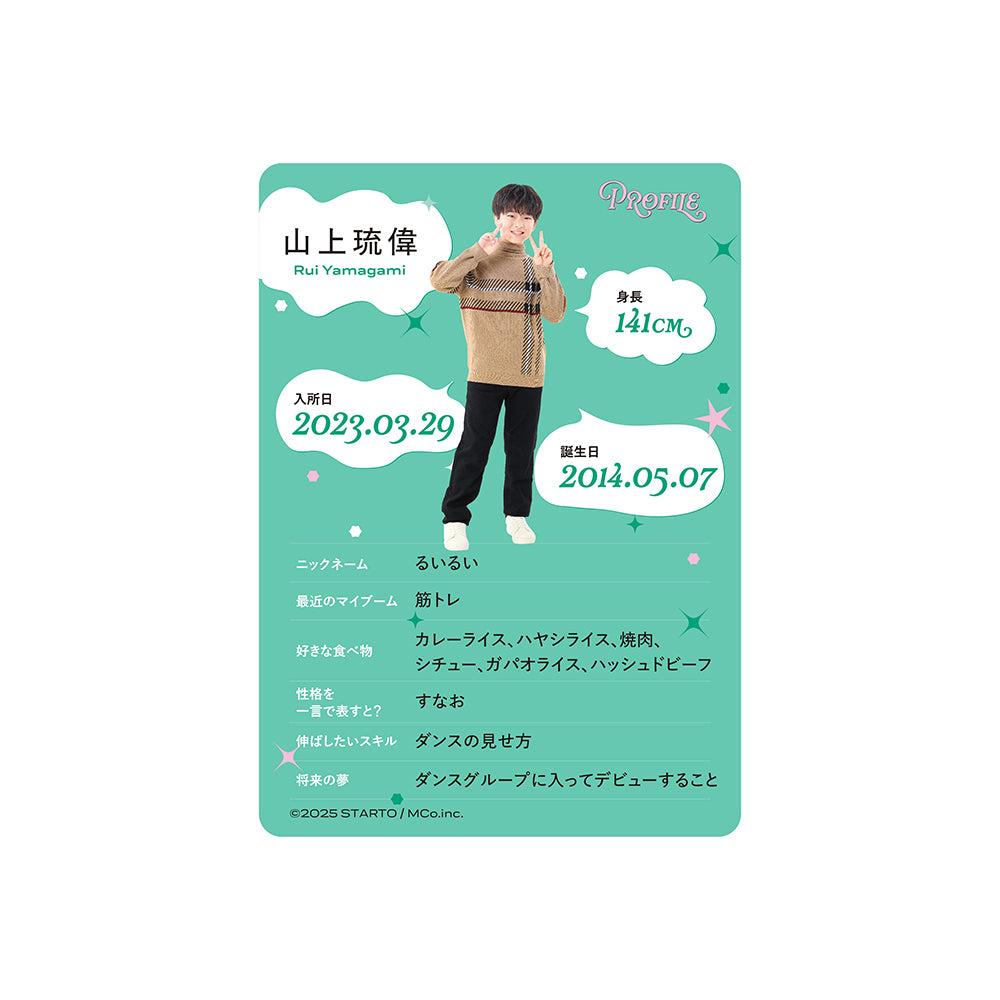 Profile Card & Profile Card Holder Rui YAMAGAMI Profile Card