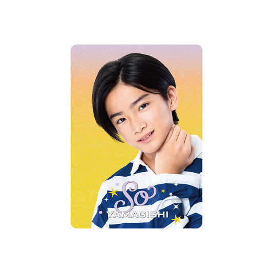 Profile Card & Profile Card Holder So YAMAGISHI Profile Card