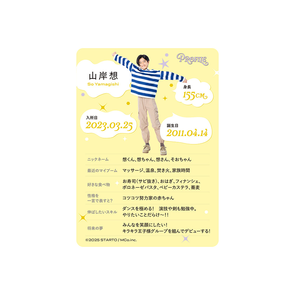 Profile Card & Profile Card Holder So YAMAGISHI Profile Card