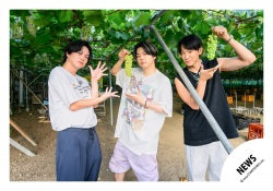 Fan Club Members Only Video「A Moment of Rest '2024 Summer!Special Movie」off-shot 【NEWS】Group SET 24-1011