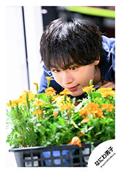 【Naniwa Danshi】Ryusei ONISHI SET 24-135
