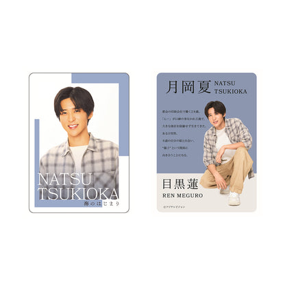 Ren MEGURO "Where does the Sea Begin" Natsu TSUKIOKA Drama Collection Card Set 