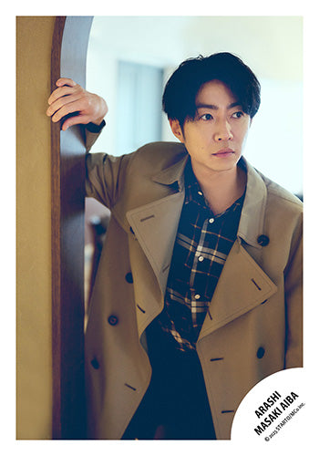 【No.AIM25-013】Masaki AIBA original photo -Sunny Spot-