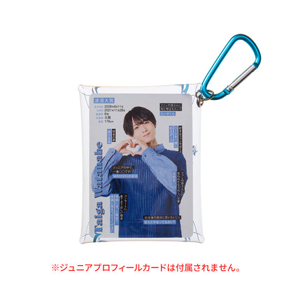 Clear Pouch