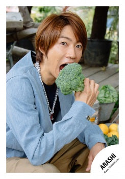 【No.MIN26-853】Mini ARASHI