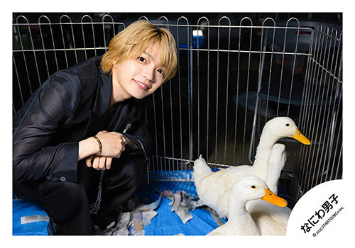 【No.ND25-733】Single「Asymmetry / Black Nightmare」MV & jacket photo off-shot