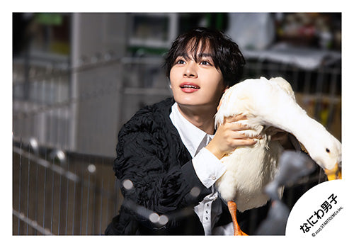 【No.ND25-767】Single「Asymmetry / Black Nightmare」MV & jacket photo off-shot