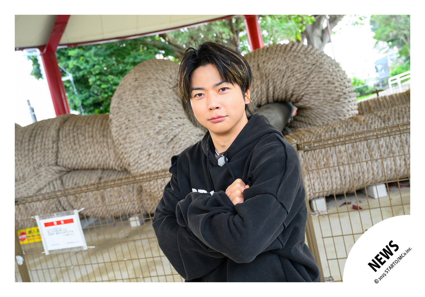 【No.NWS25-239】LIVE DVD & Blu-ray「NEWS LIVE TOUR 2024 JAPANEWS」Special video off-shot