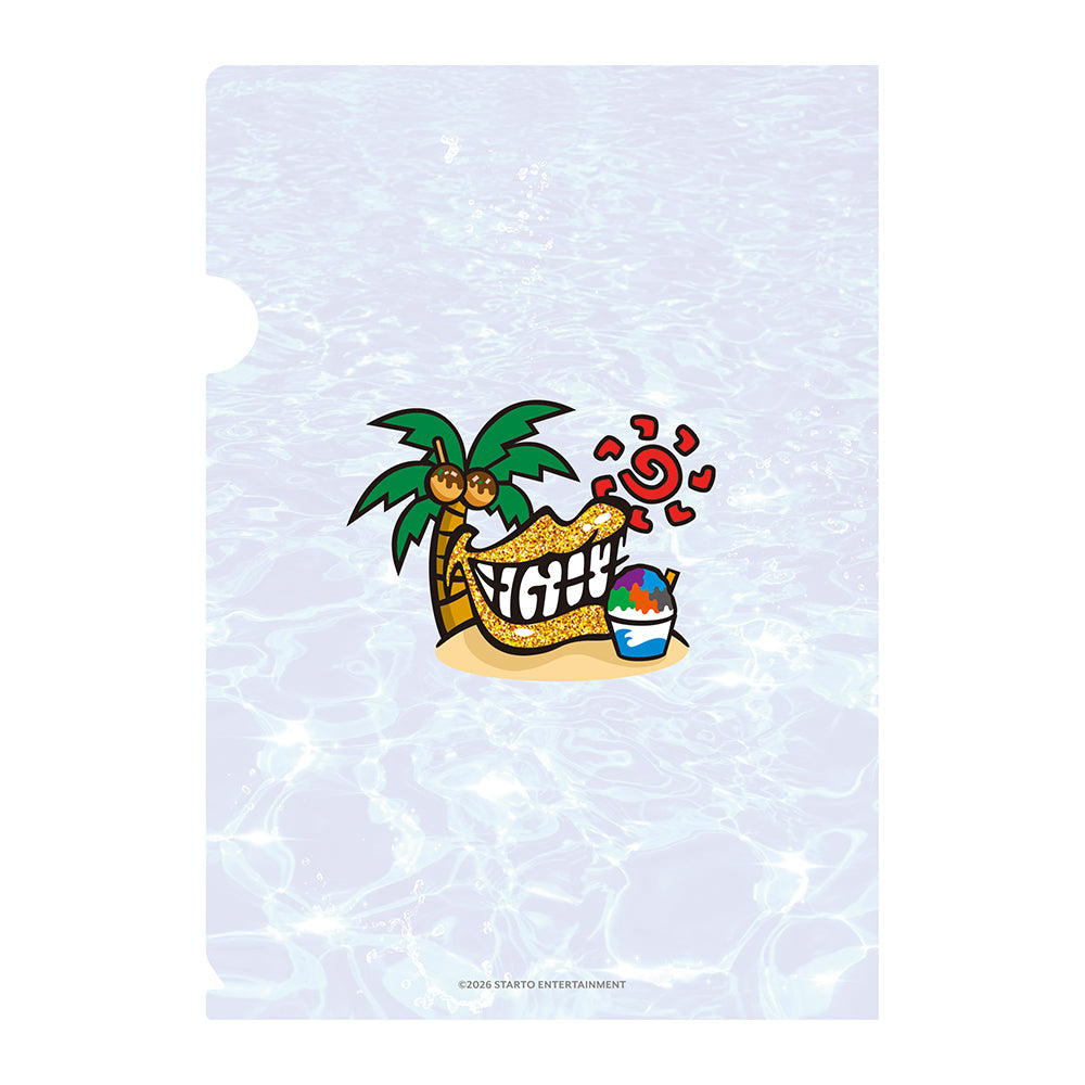 A5 Clear File A